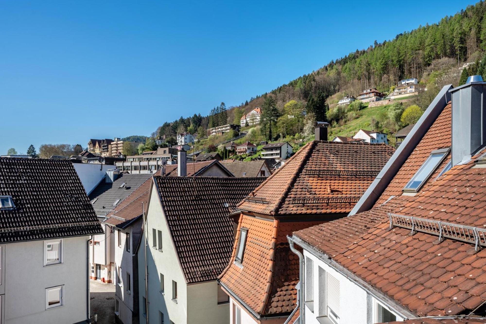 Schwarzwaldnest *